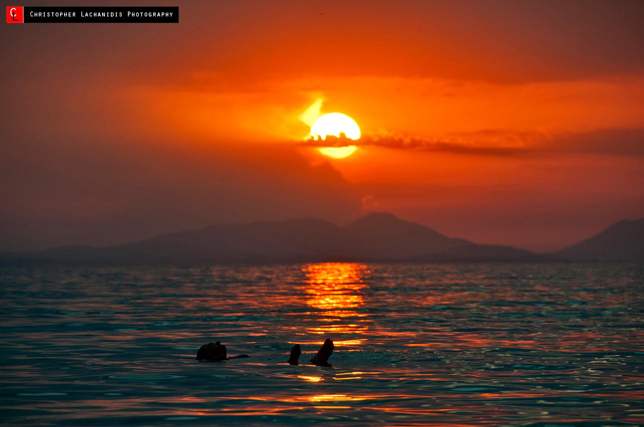 Απολαμβάνοντας κολύμβι και ηλιοβασίλεμα στην παραλία του Αρίλλα!